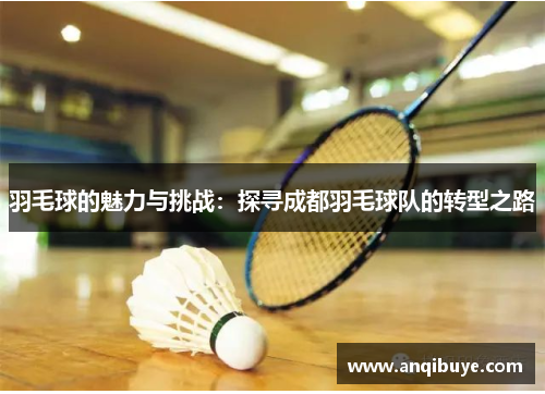 羽毛球的魅力与挑战：探寻成都羽毛球队的转型之路
